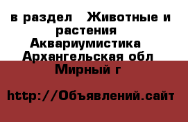  в раздел : Животные и растения » Аквариумистика . Архангельская обл.,Мирный г.